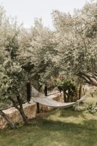 Relaxing scene of a hammock hanging in a serene garden surrounded by olive trees under a summer sky.